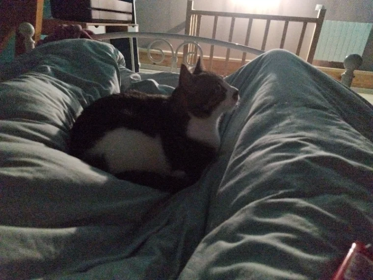 Pixel